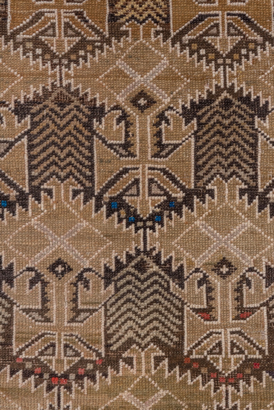shirvan Rug - # 126240