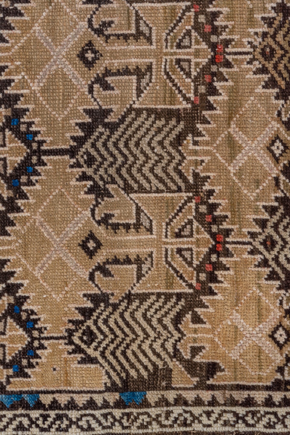 shirvan Rug - # 126240