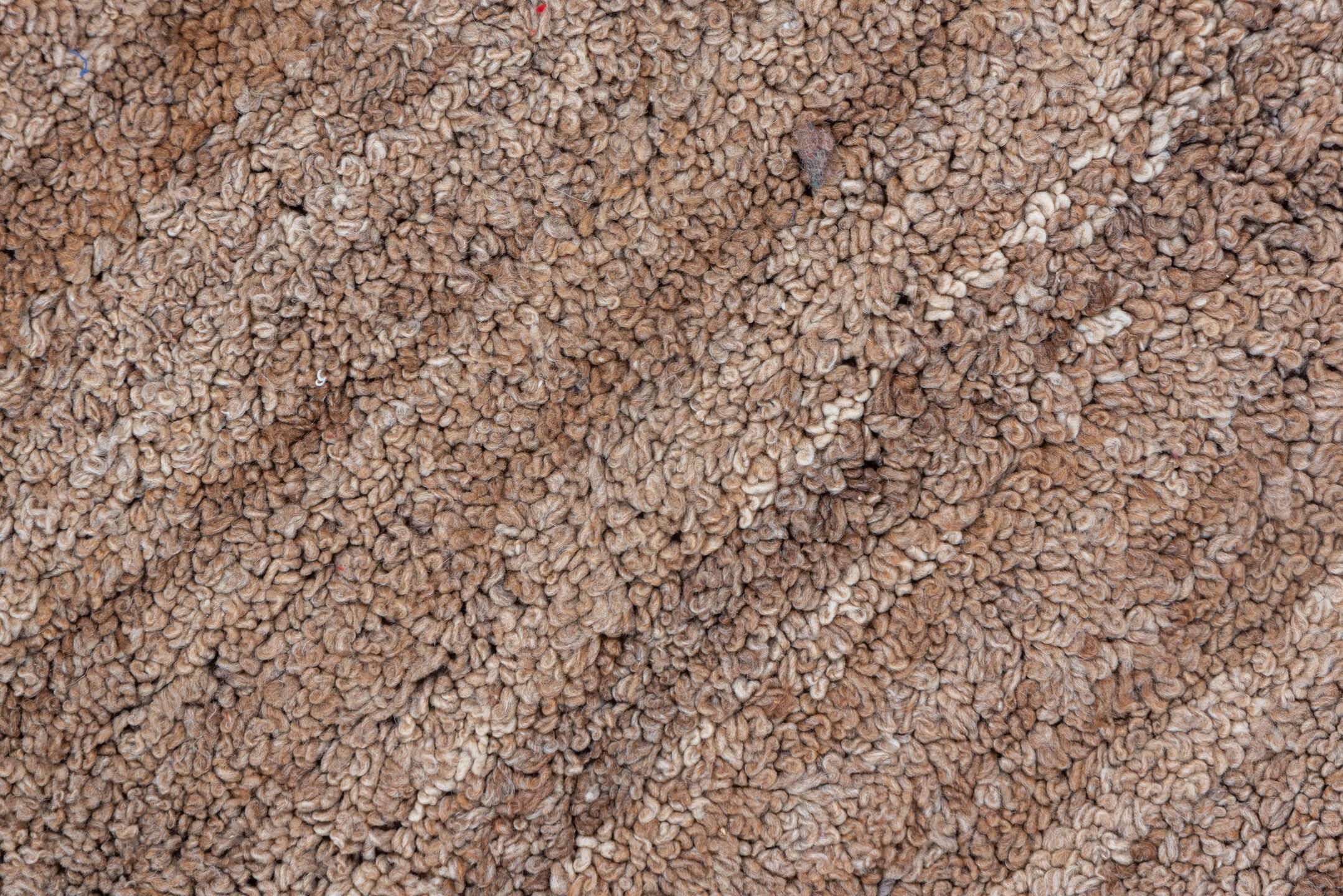 tulu Rug - # 126259