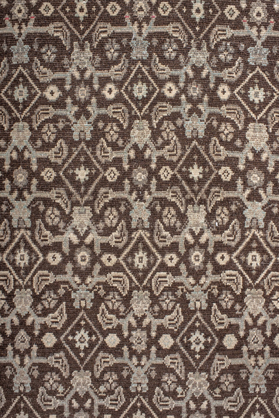 malayer Runner - # 127529