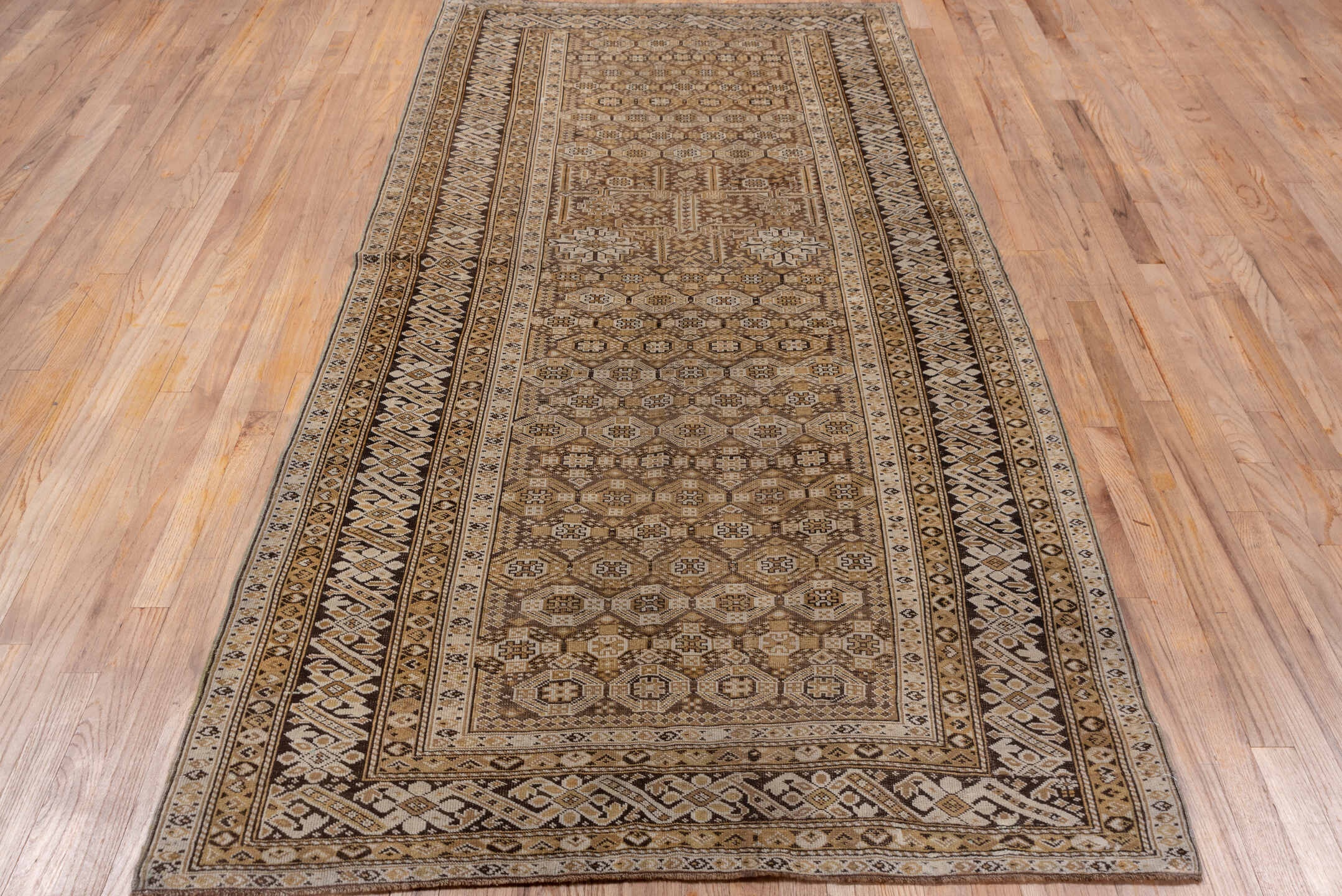 shirvan Rug - # 127706