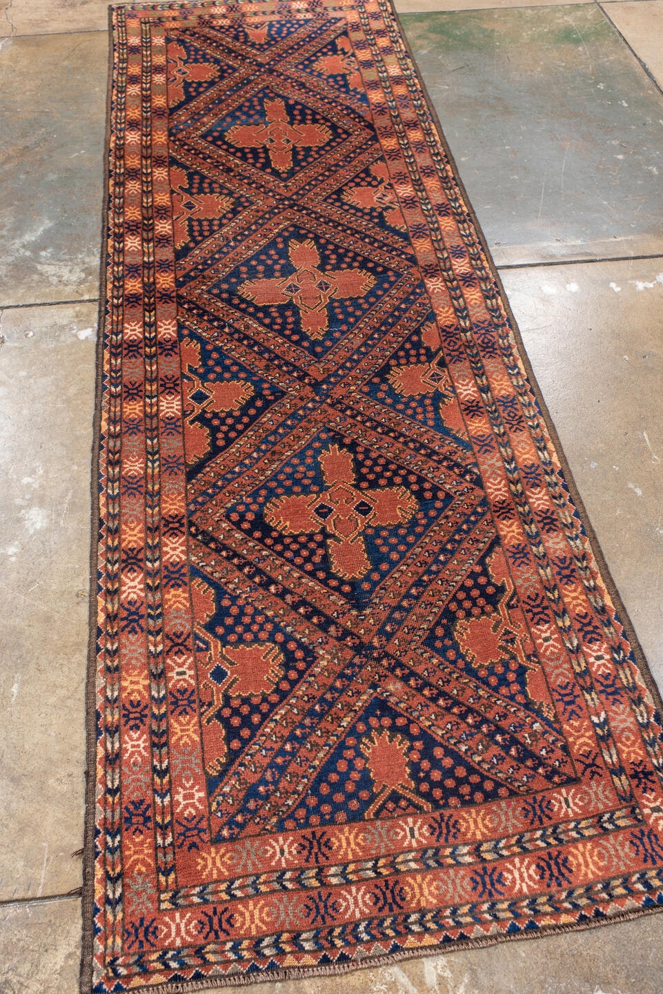 afghan Runner - # 127725