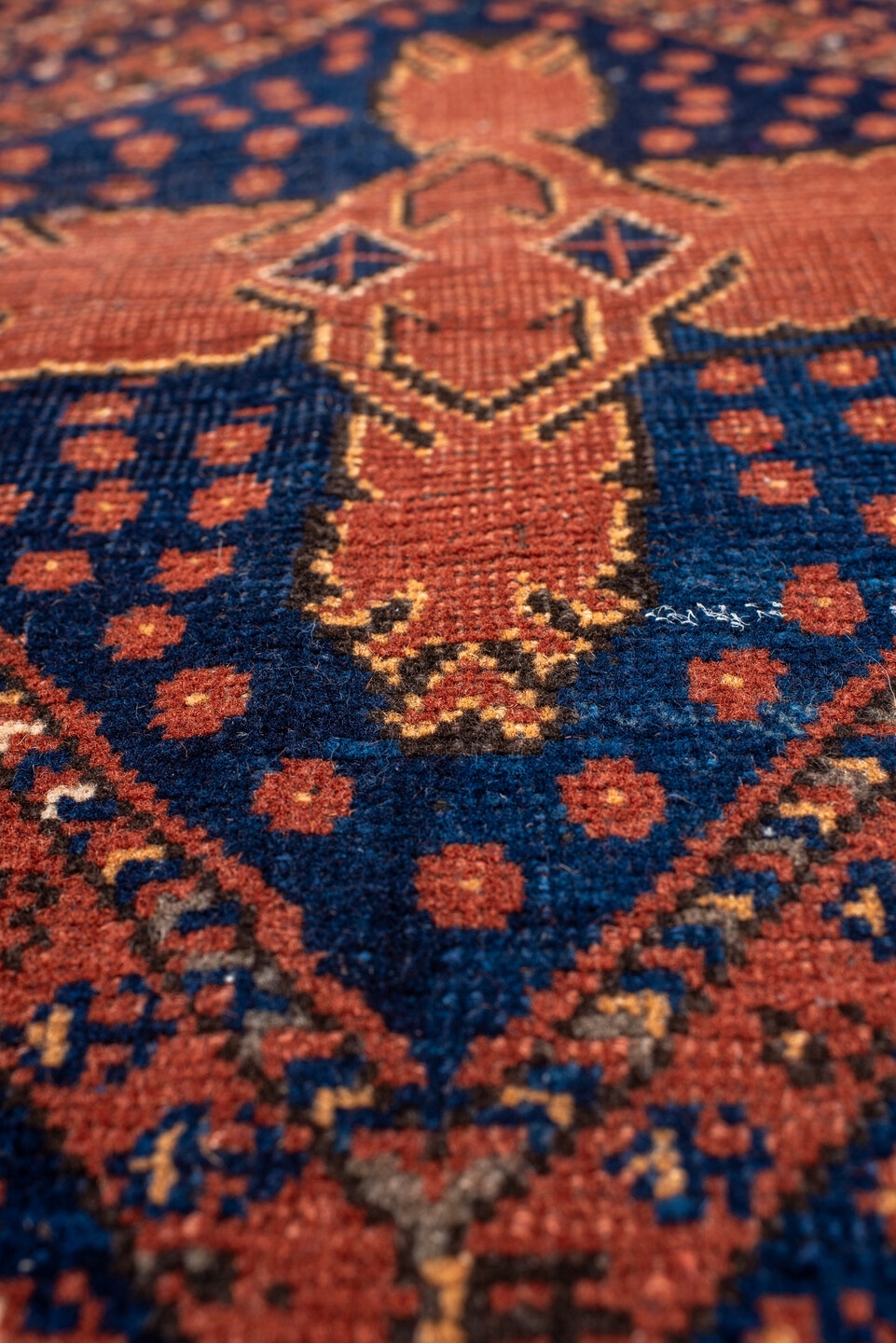 afghan Runner - # 127725