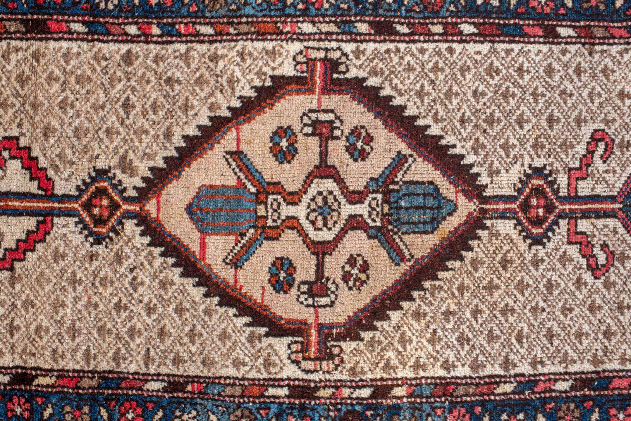 cam hamadan Runner - # 127892