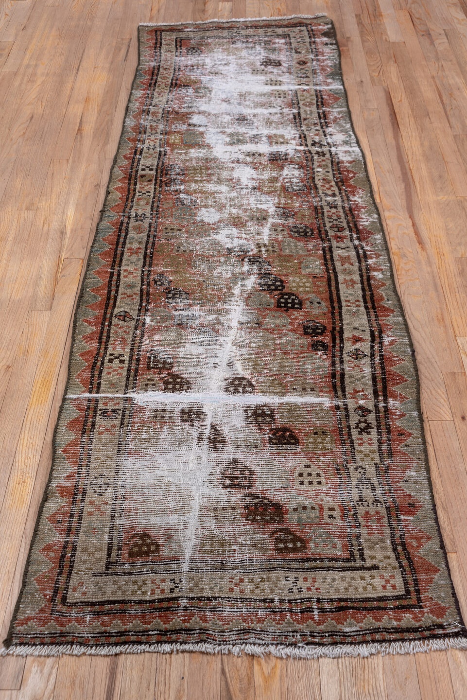 caucasian Runner - # 127986