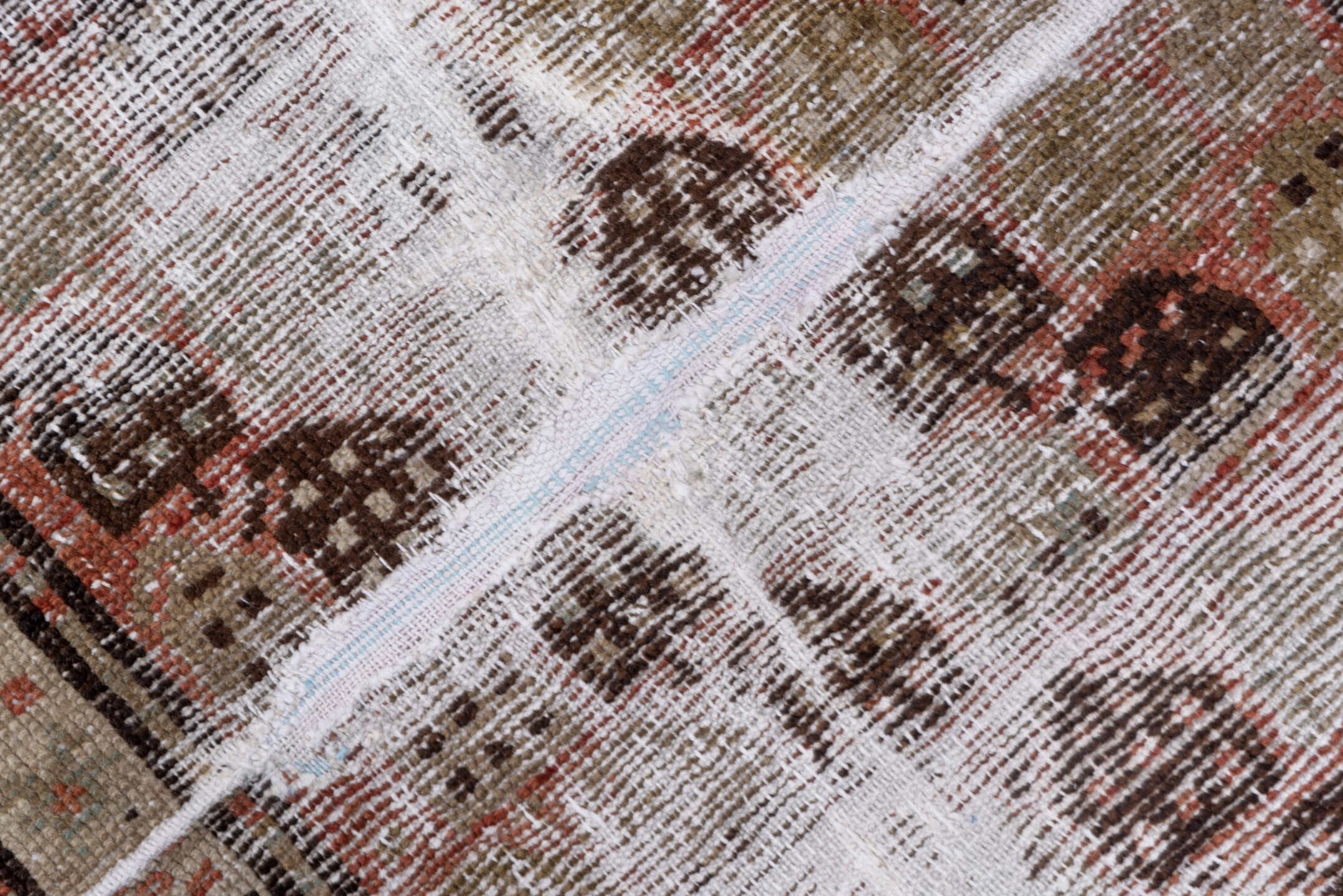 caucasian Runner - # 127986