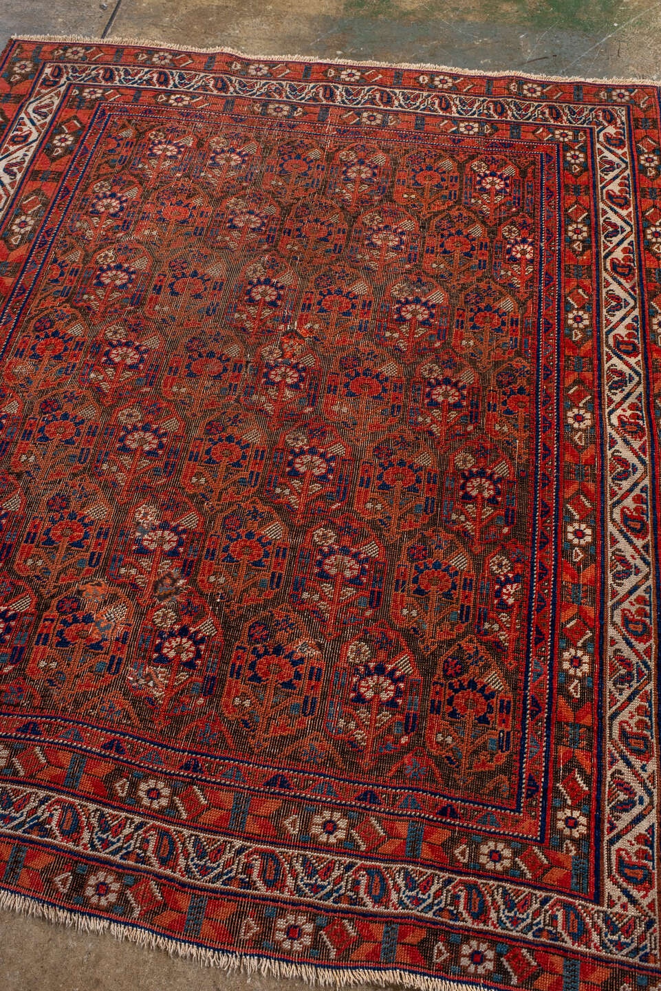 afshar Rug - # 125697