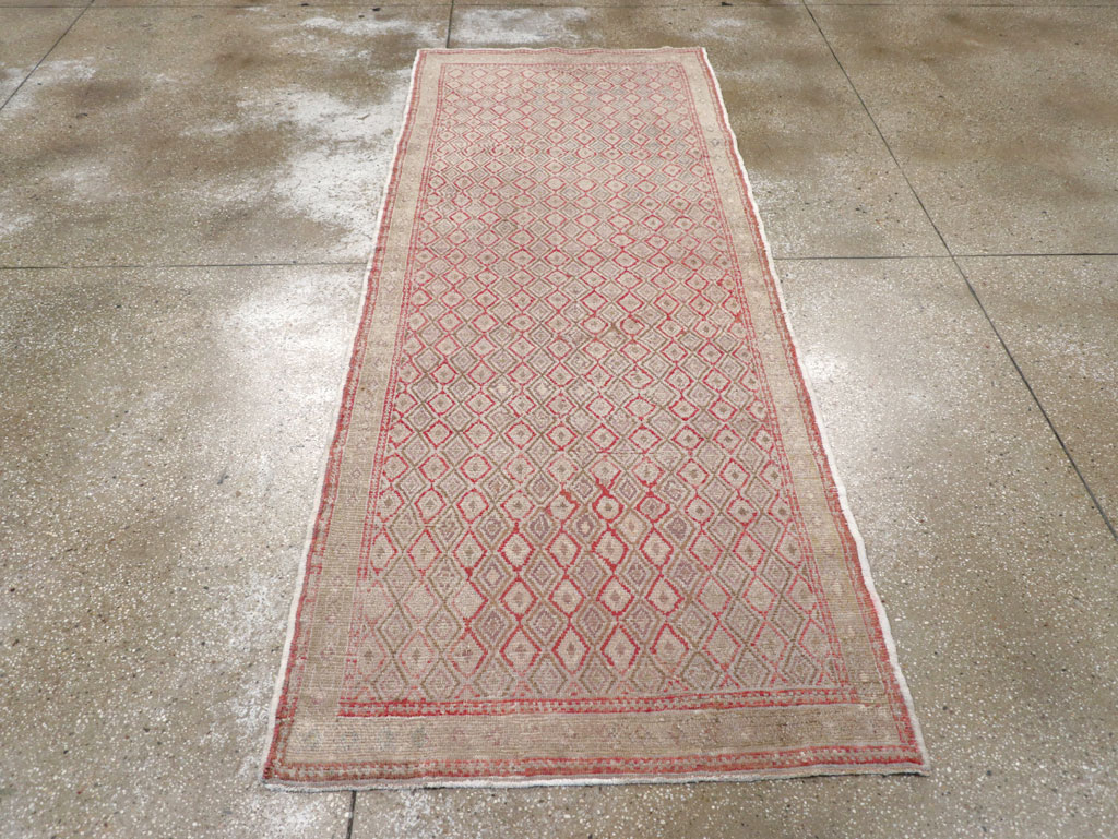 anatolian Runner - # 102102