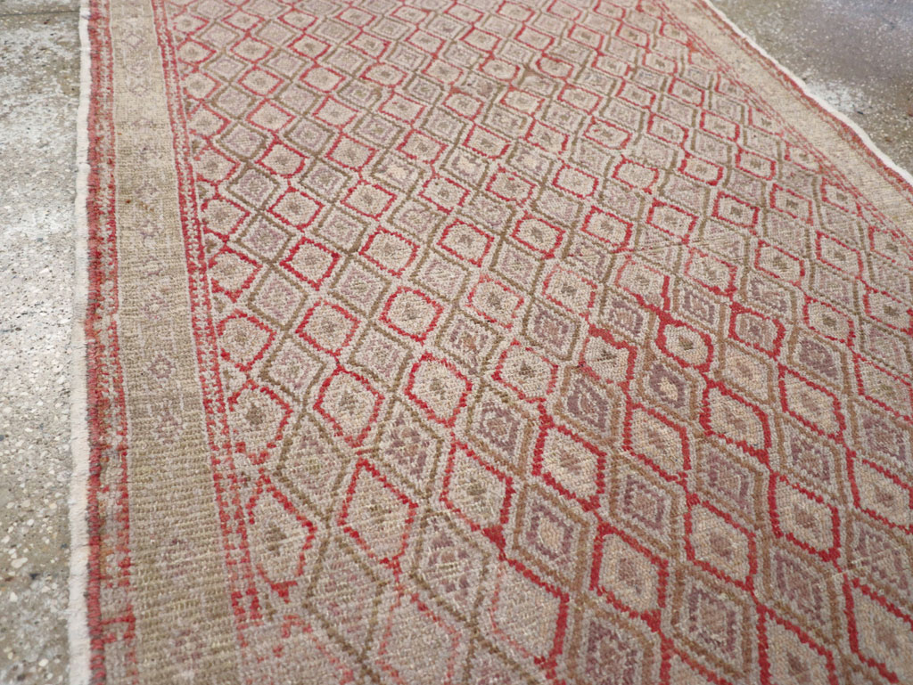 anatolian Runner - # 102102