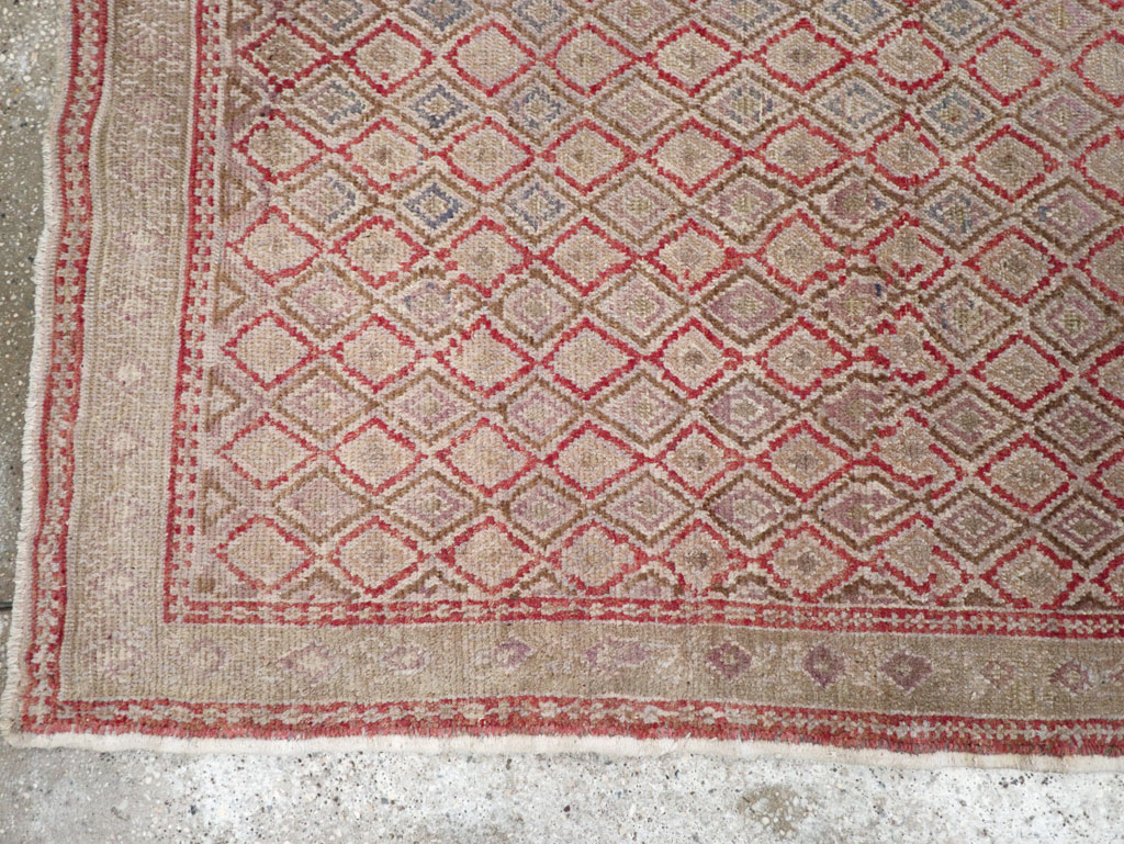 anatolian Runner - # 102102
