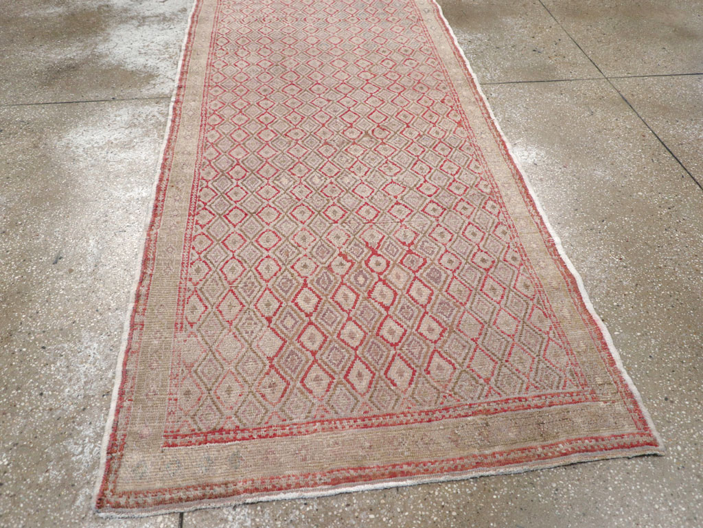 anatolian Runner - # 102102
