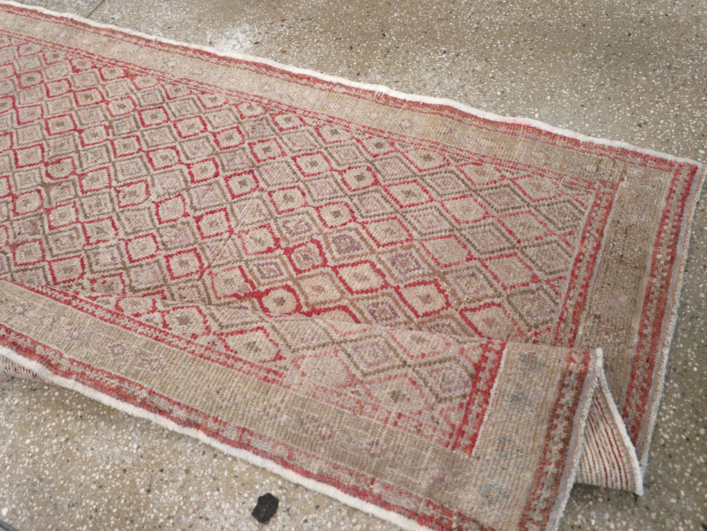 anatolian Runner - # 102102