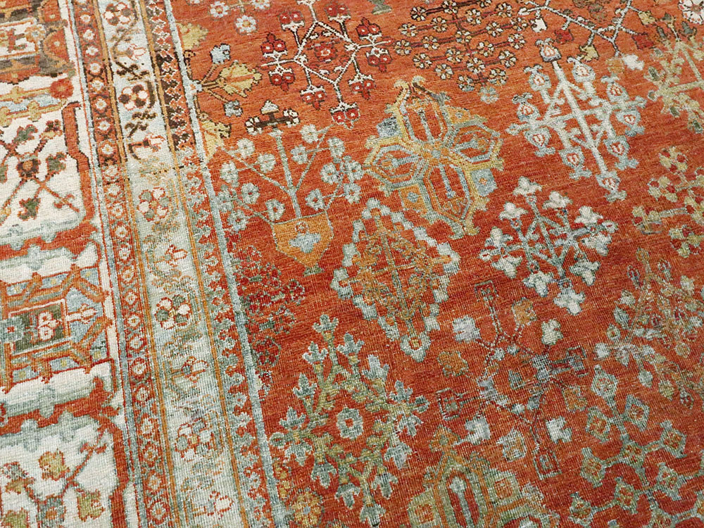 joshegan Carpet - # 105612