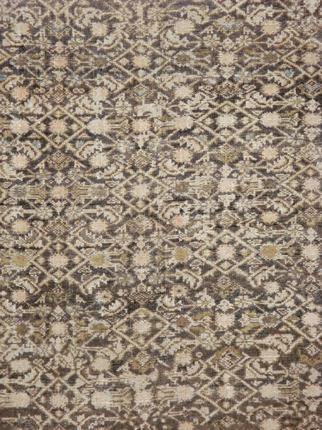 malayer - # 101657