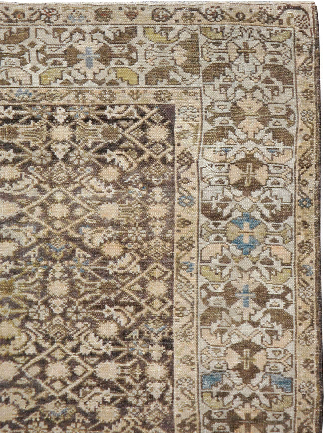 malayer - # 101657