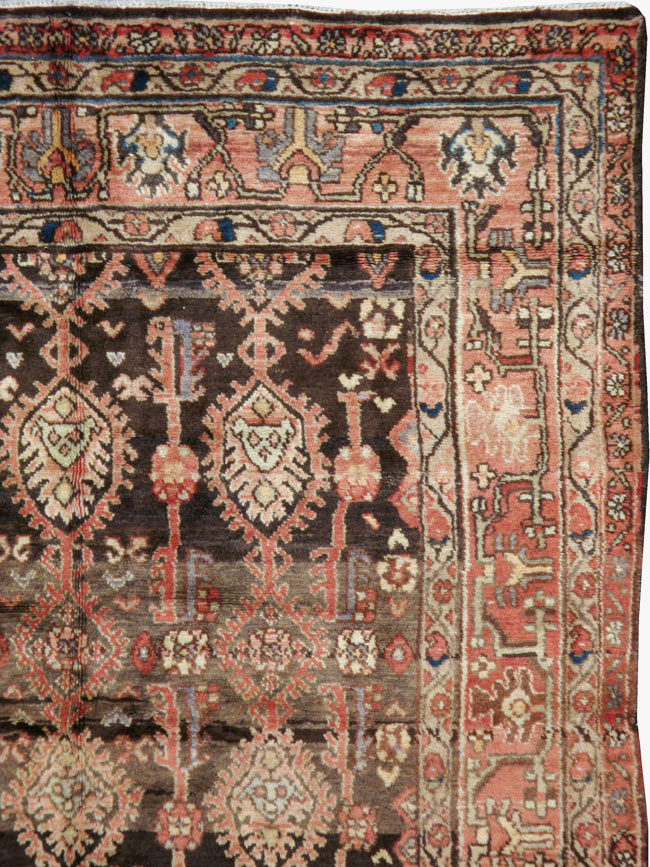 malayer - # 101978