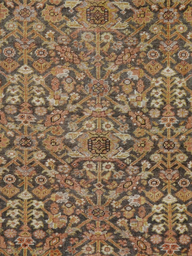 malayer - # 103410