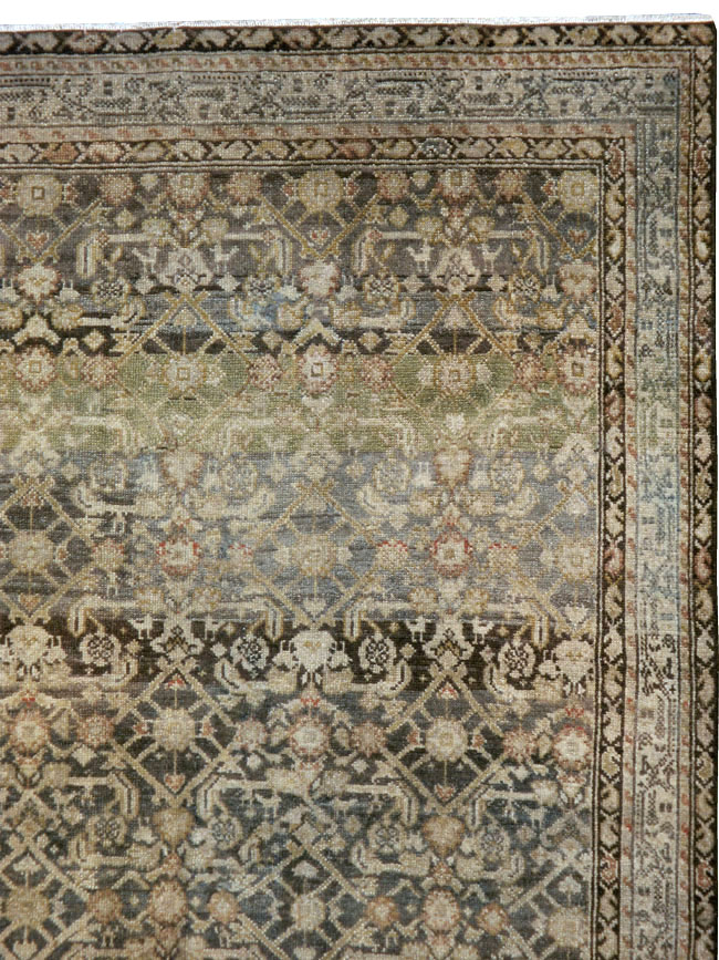 malayer - # 103564