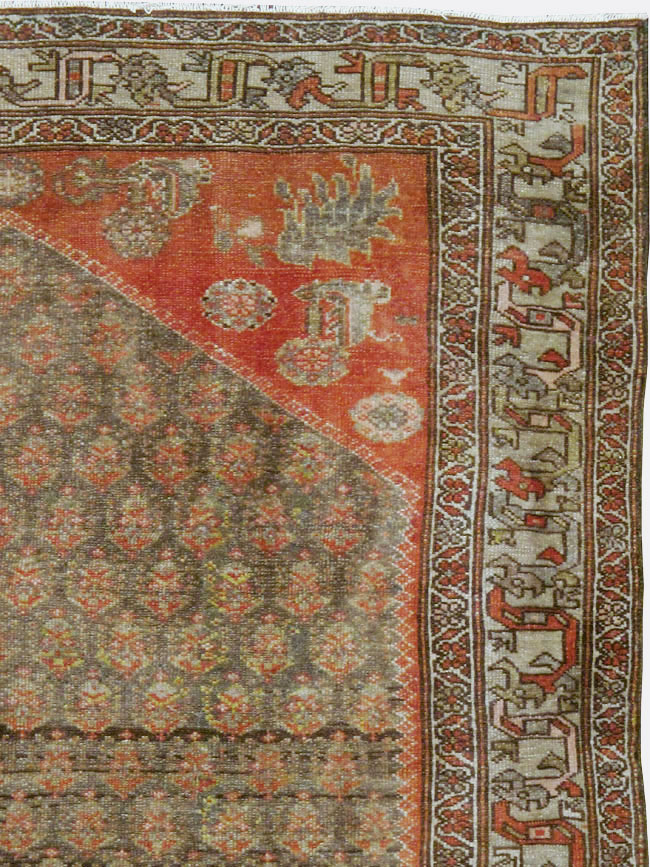 malayer - # 103900