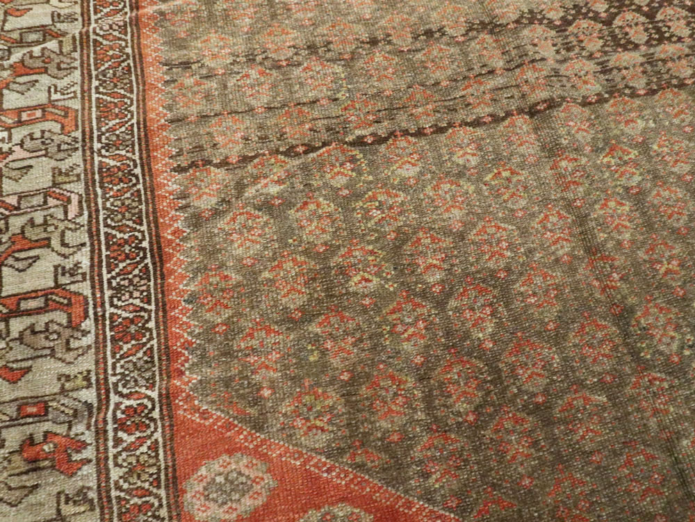 malayer - # 103900