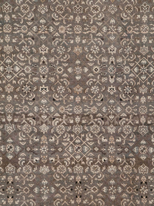 malayer - # 104683