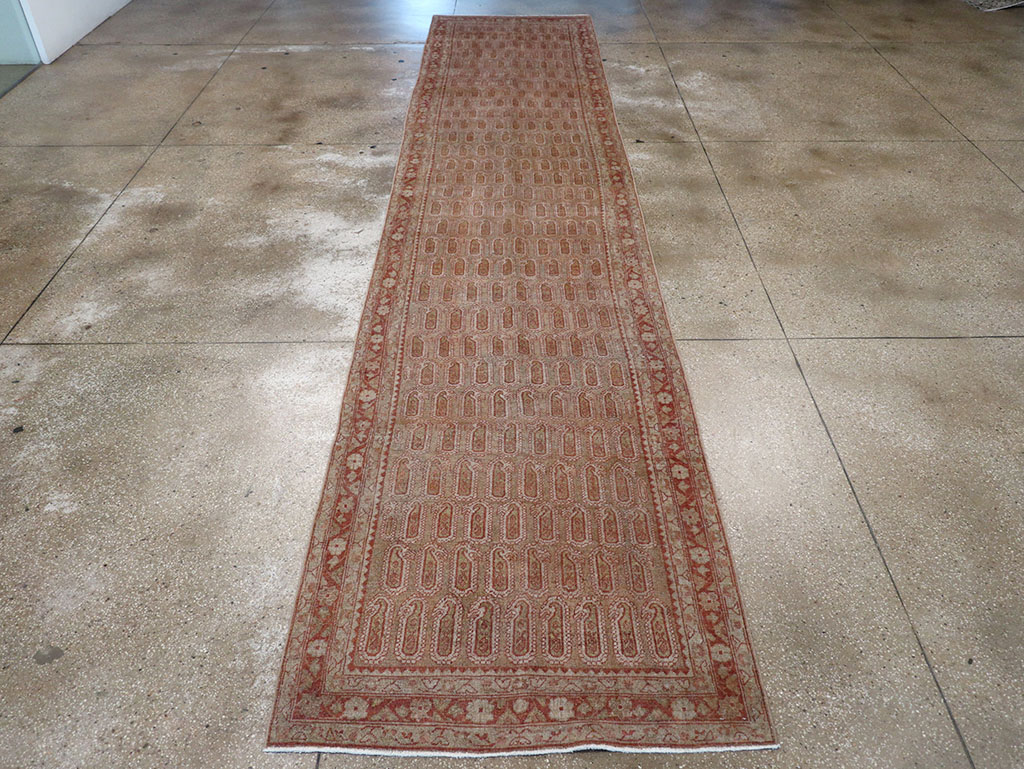 malayer - # 109104