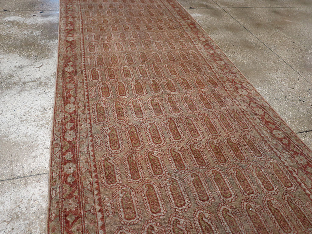 malayer - # 109104