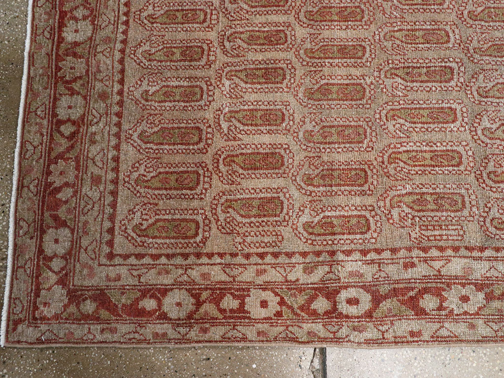 malayer - # 109104