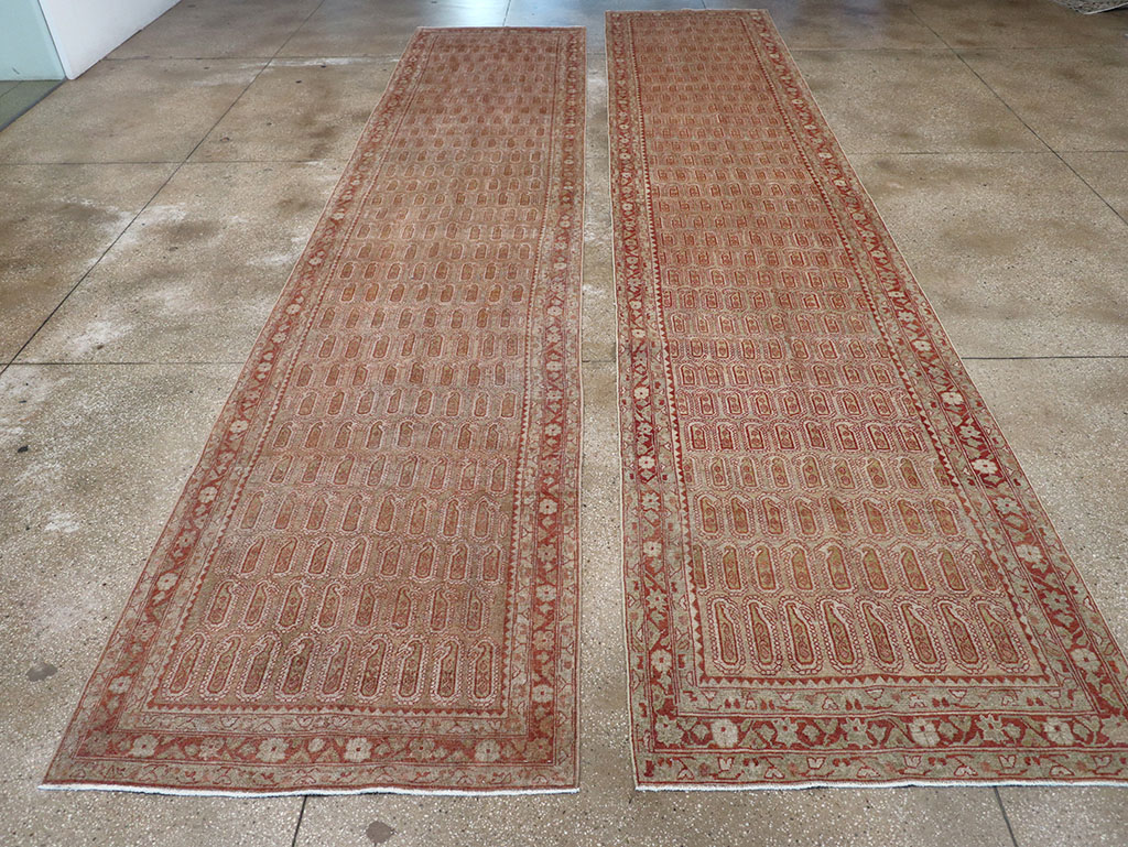 malayer - # 109104