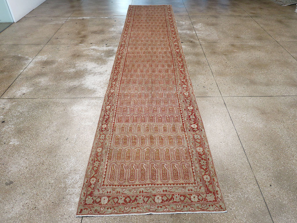 malayer - # 109105