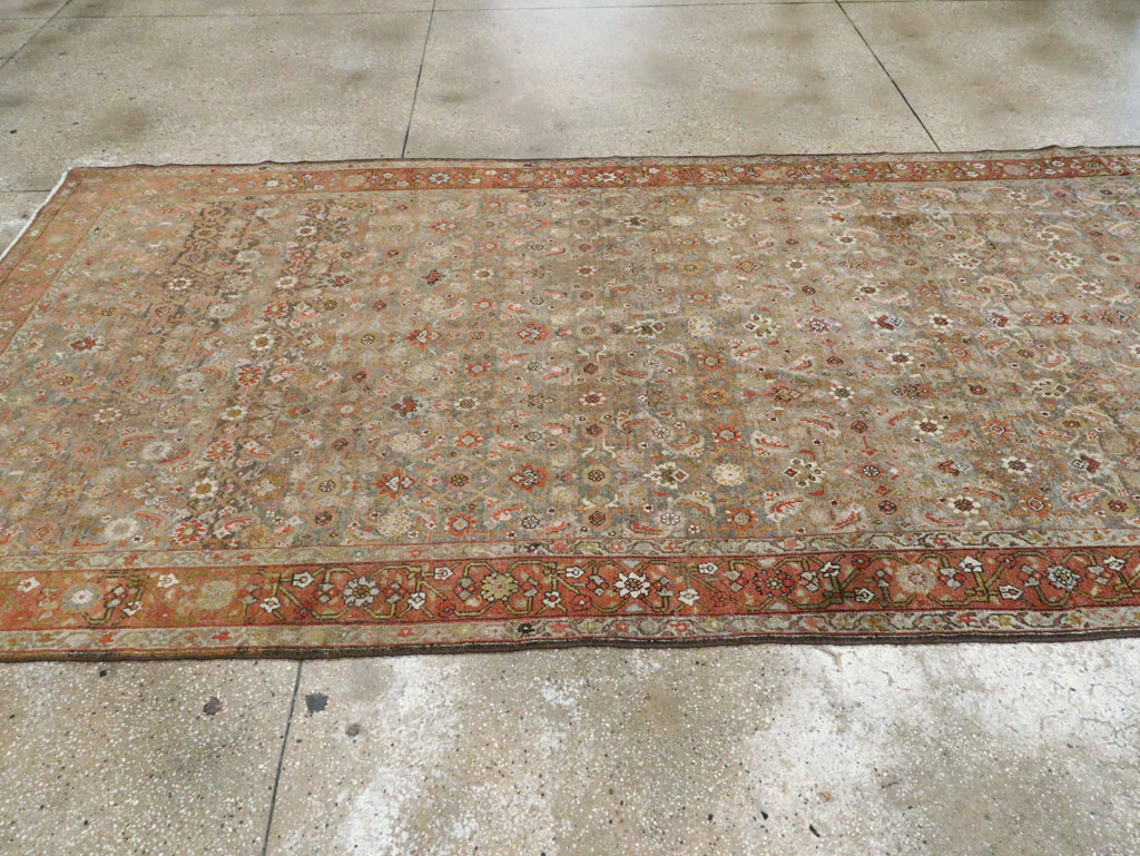 malayer - # 104548