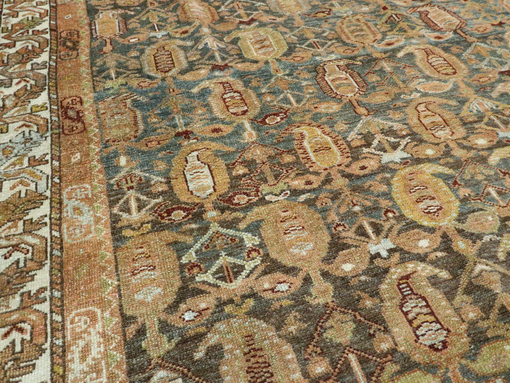 malayer - # 106520