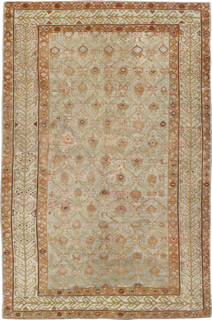 malayer Rug - # 103450