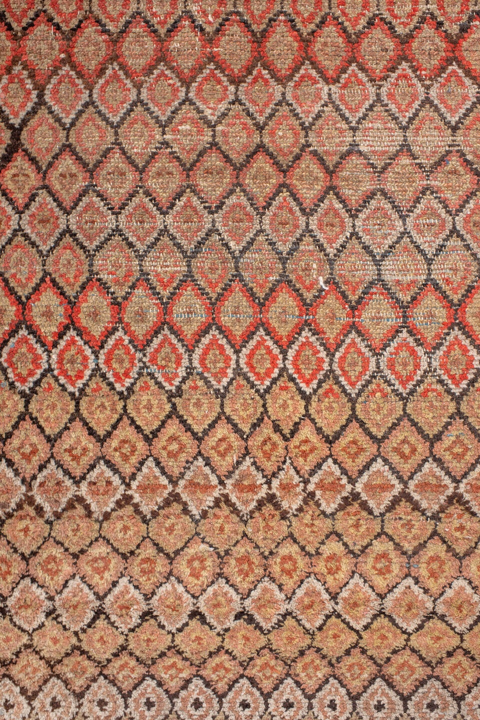 malayer Rug - # 126756