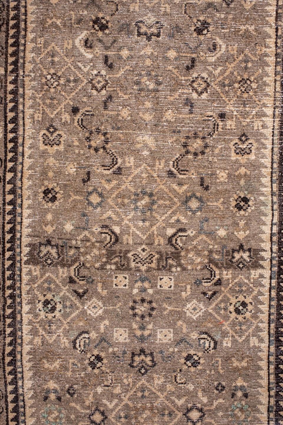 malayer Runner - # 128854