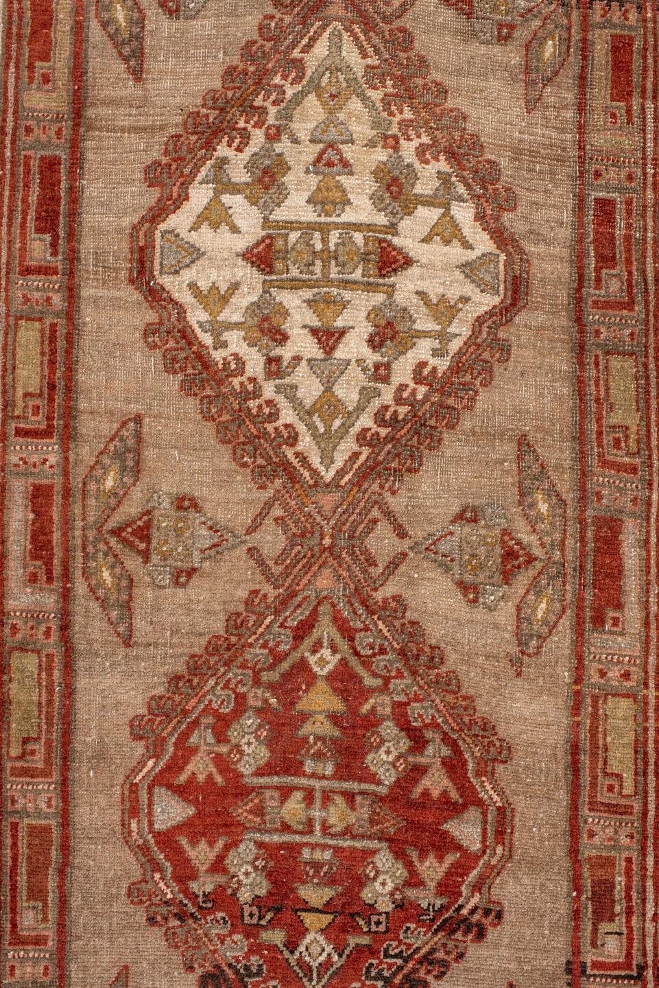 sarab Runner - # 127663