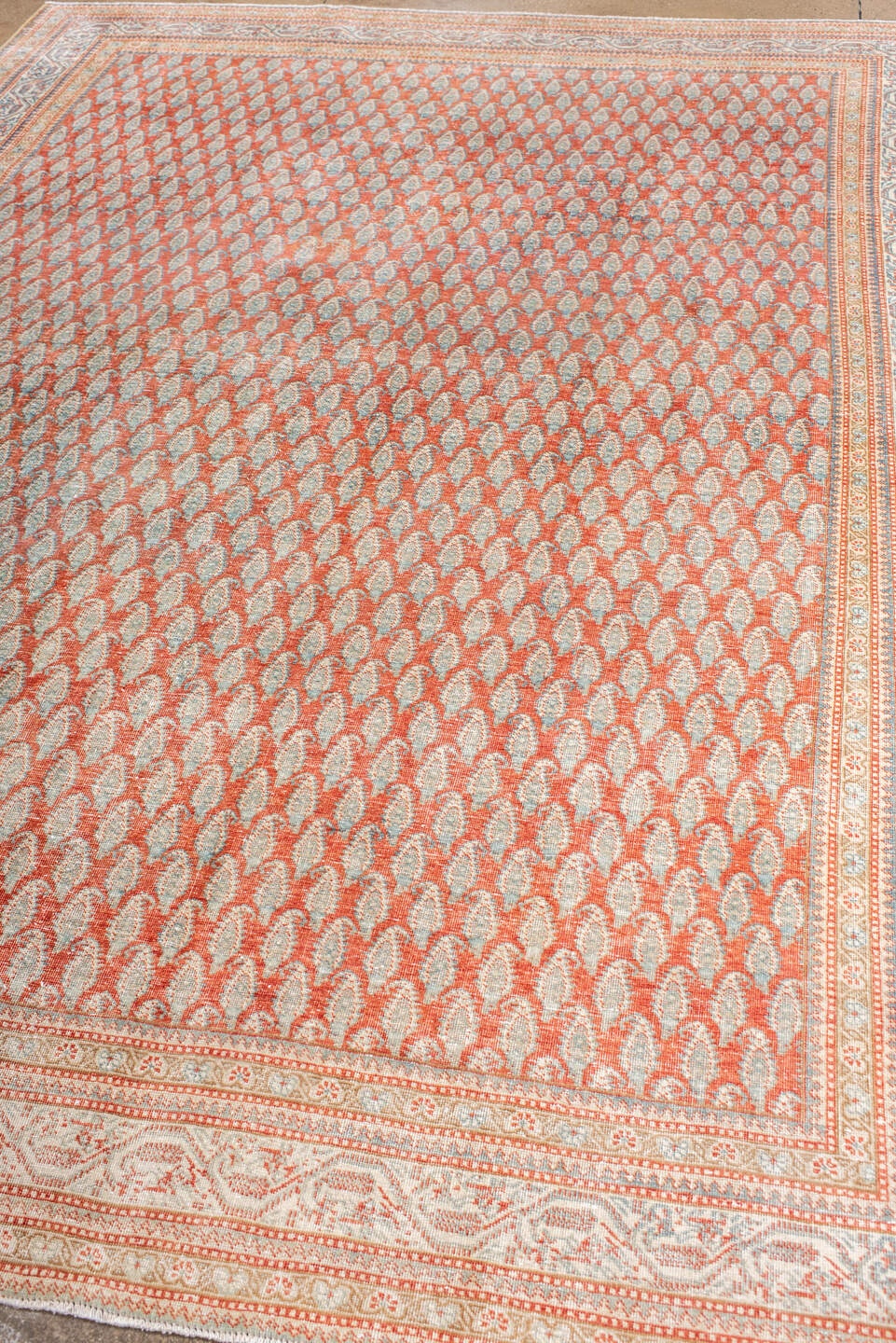 saraband Carpet - # 128781