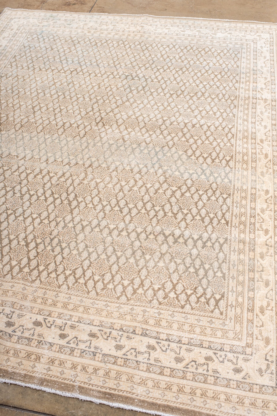 saraband Rug - # 127296