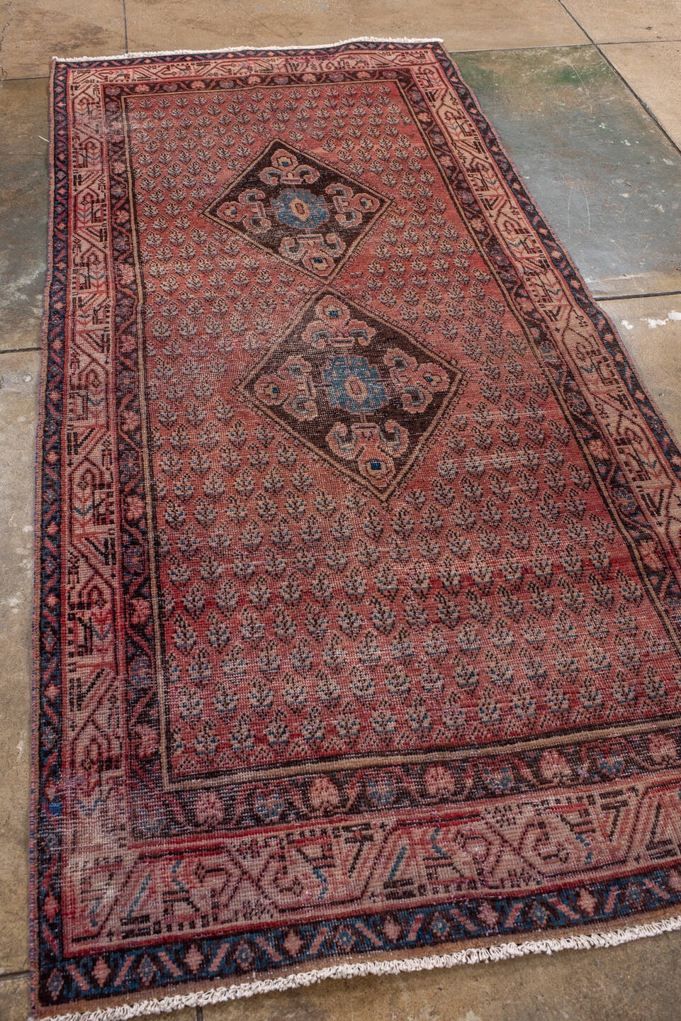saraband Rug - # 127492