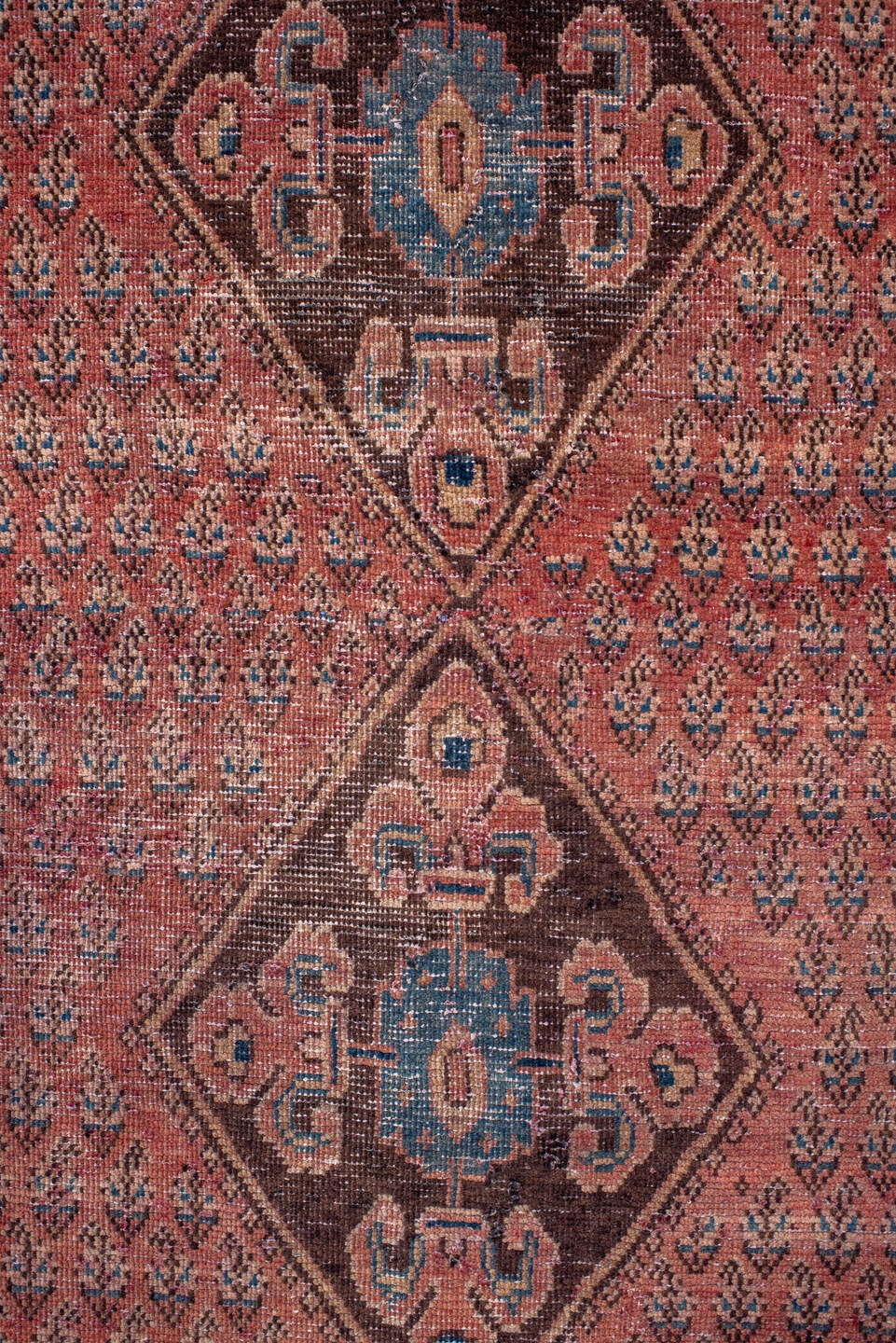 saraband Rug - # 127492