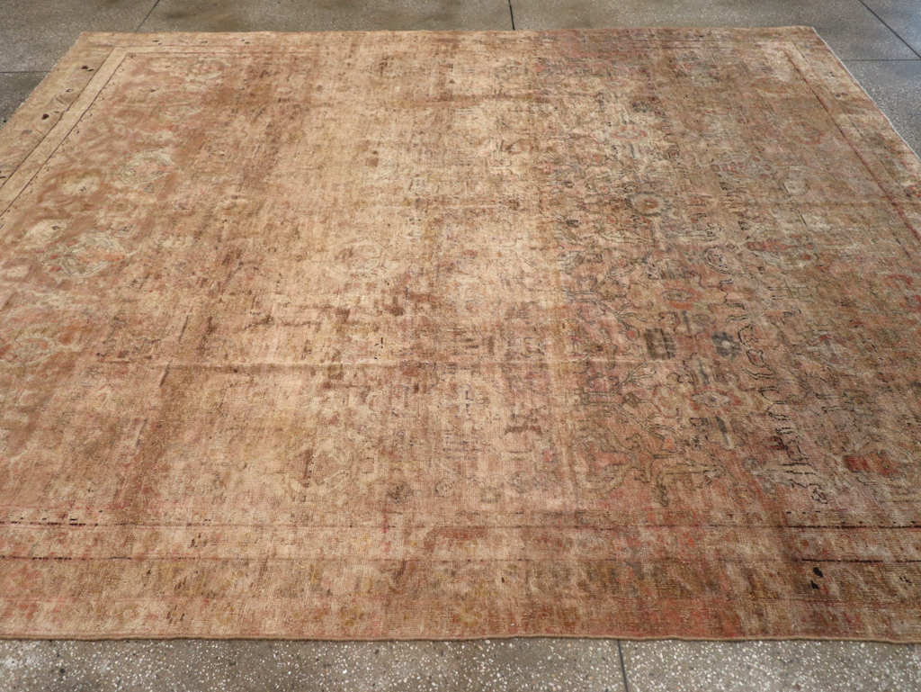 sevas Carpet - # 103737
