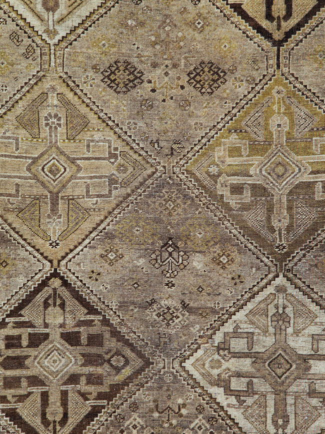 shiraz - # 103887