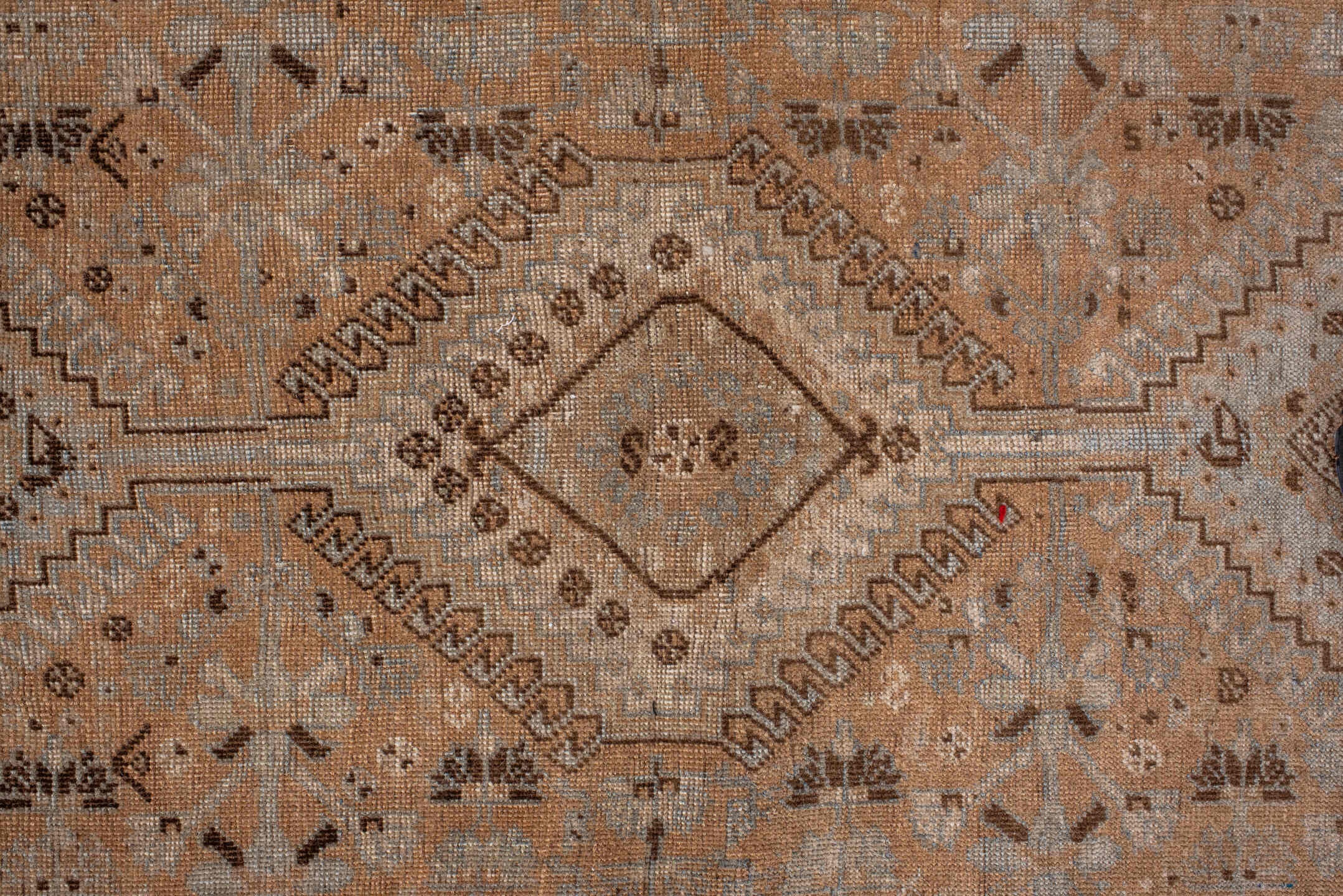 shiraz Rug - # 125661