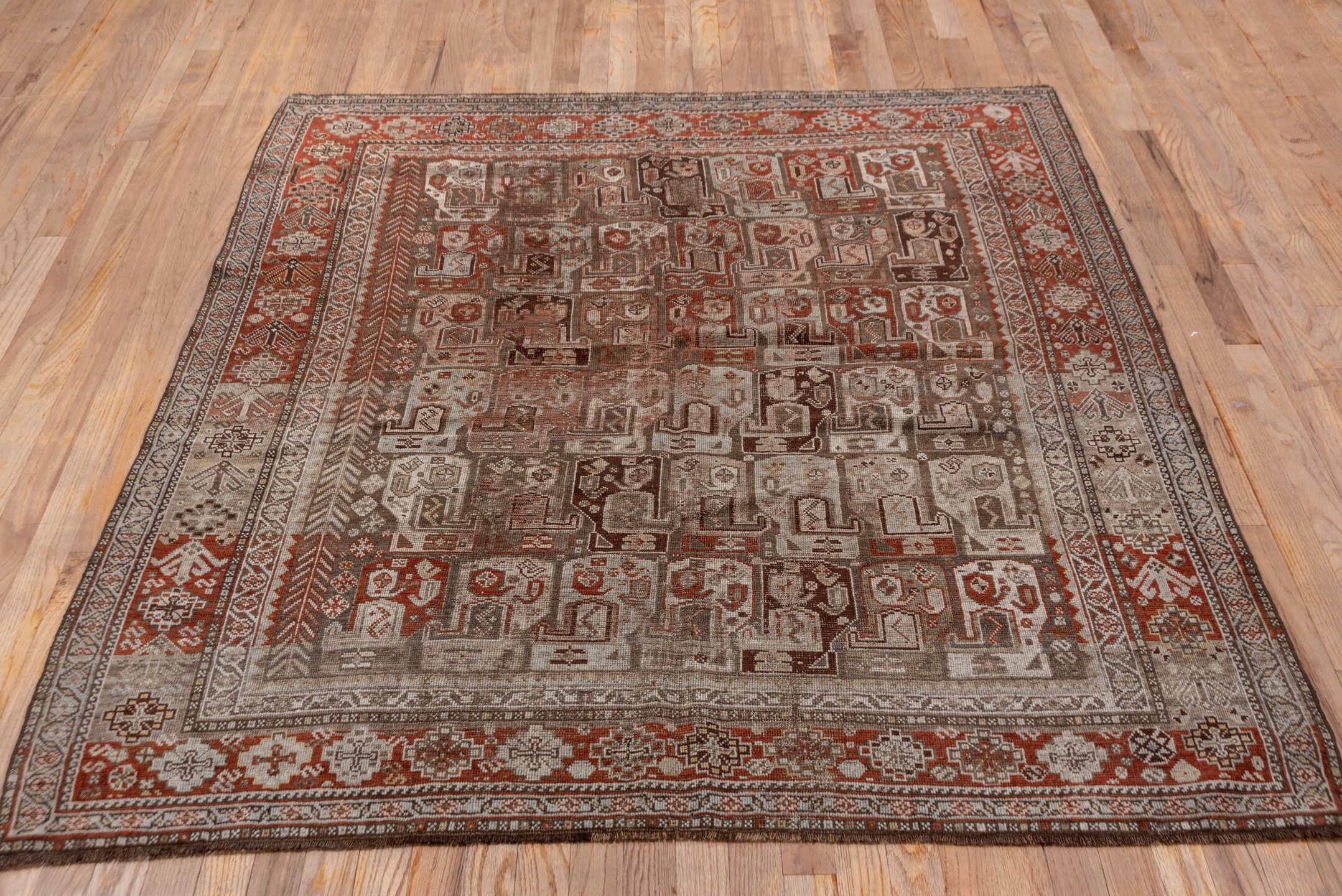 shiraz Rug - # 126163