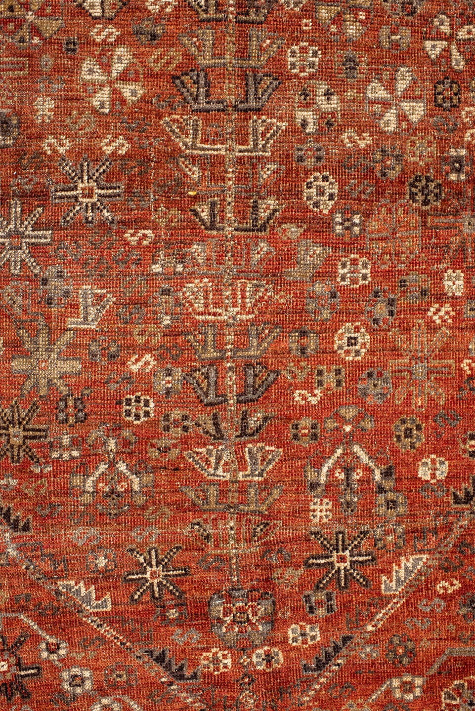 shiraz Rug - # 126168