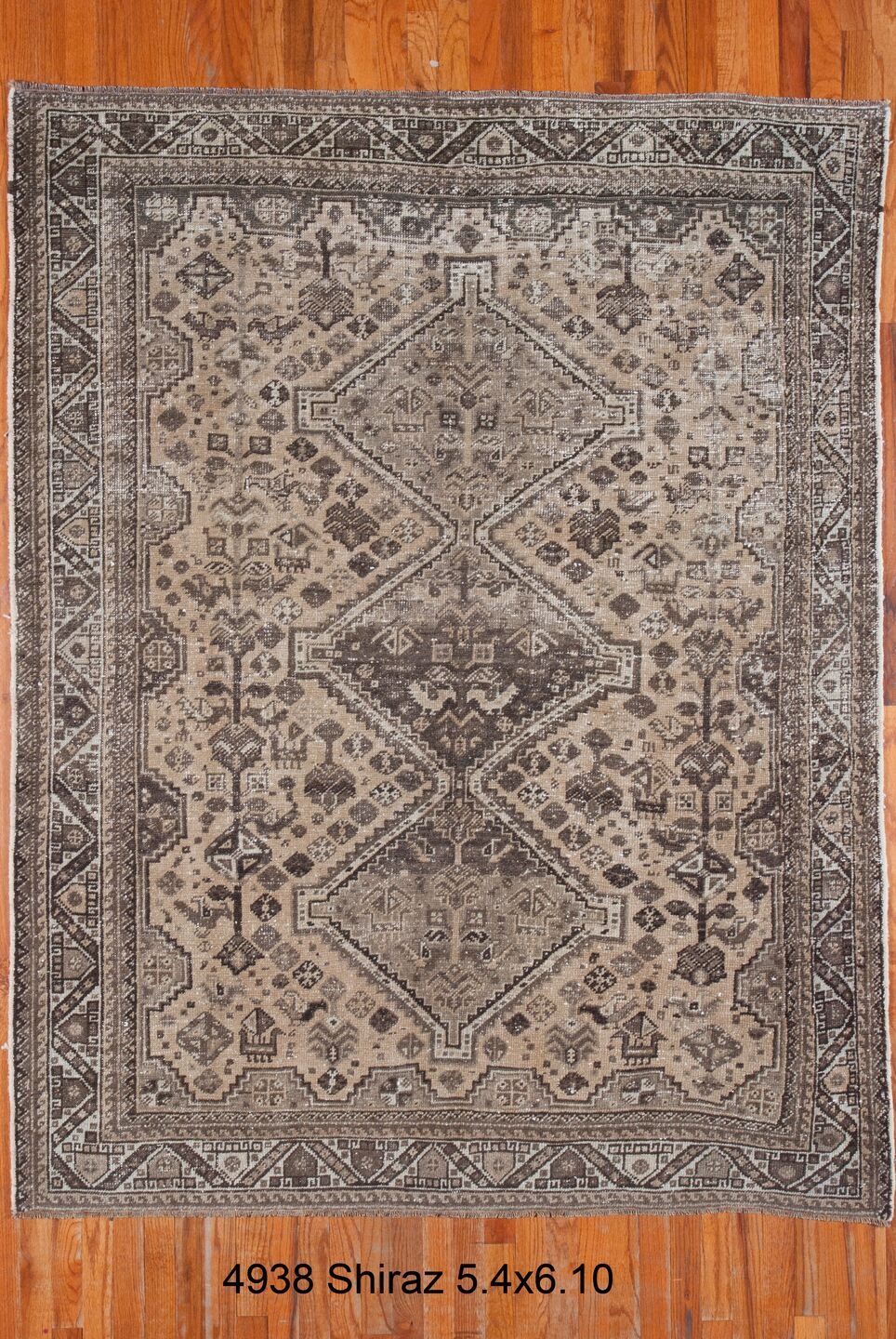 shiraz Rug - # 126845