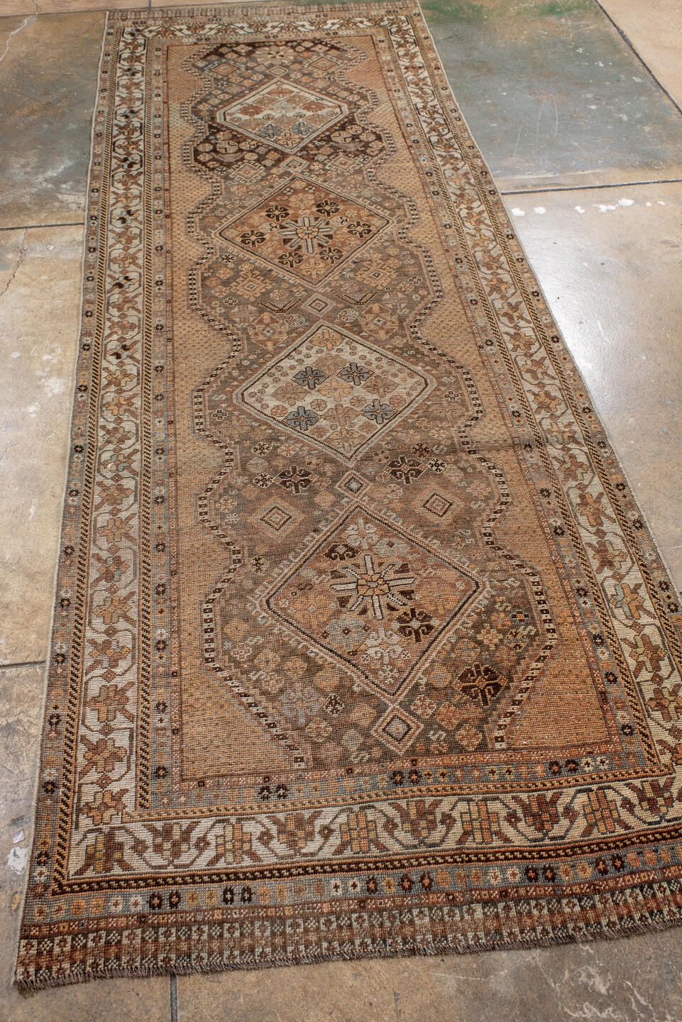 shiraz Runner - # 127981