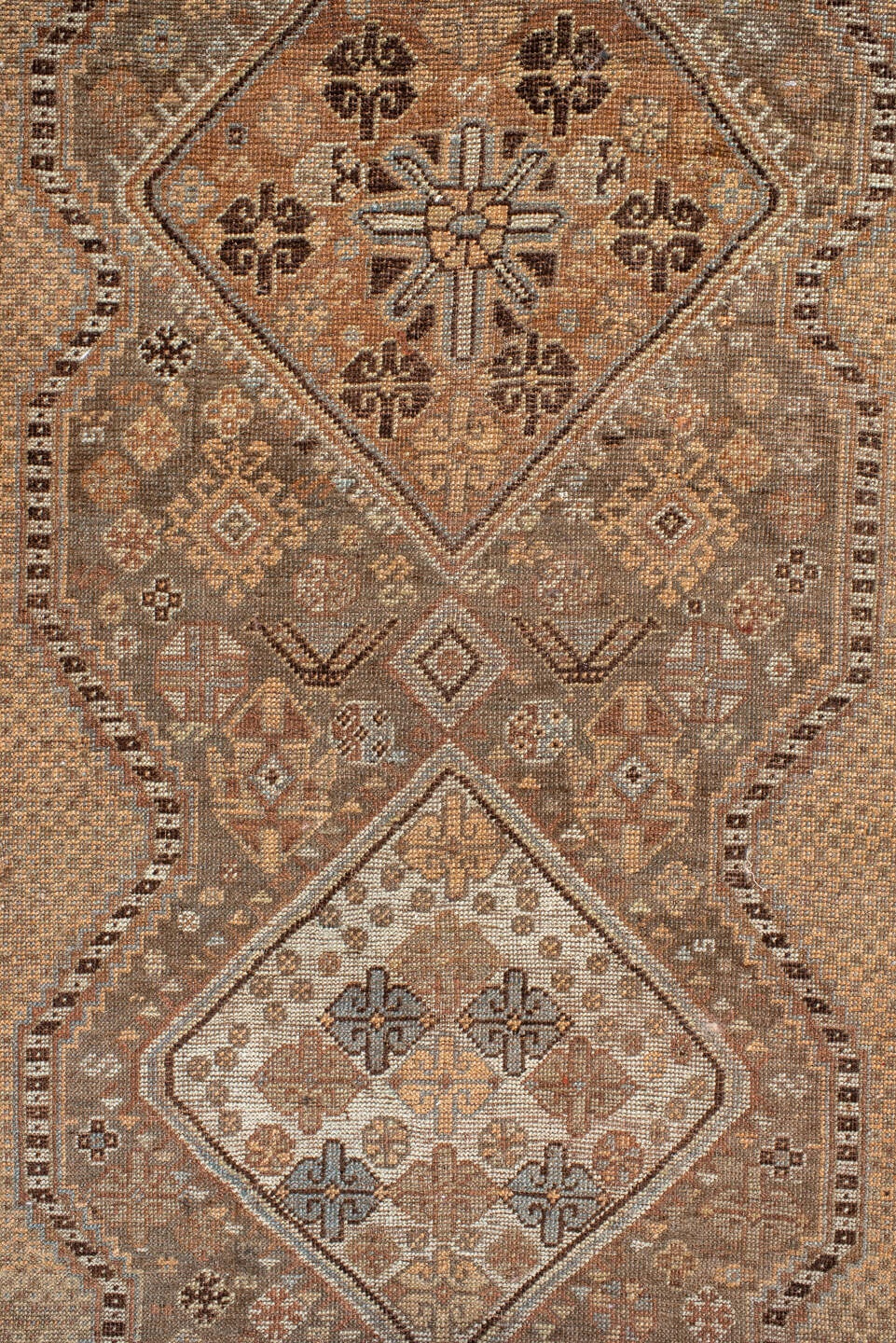 shiraz Runner - # 127981