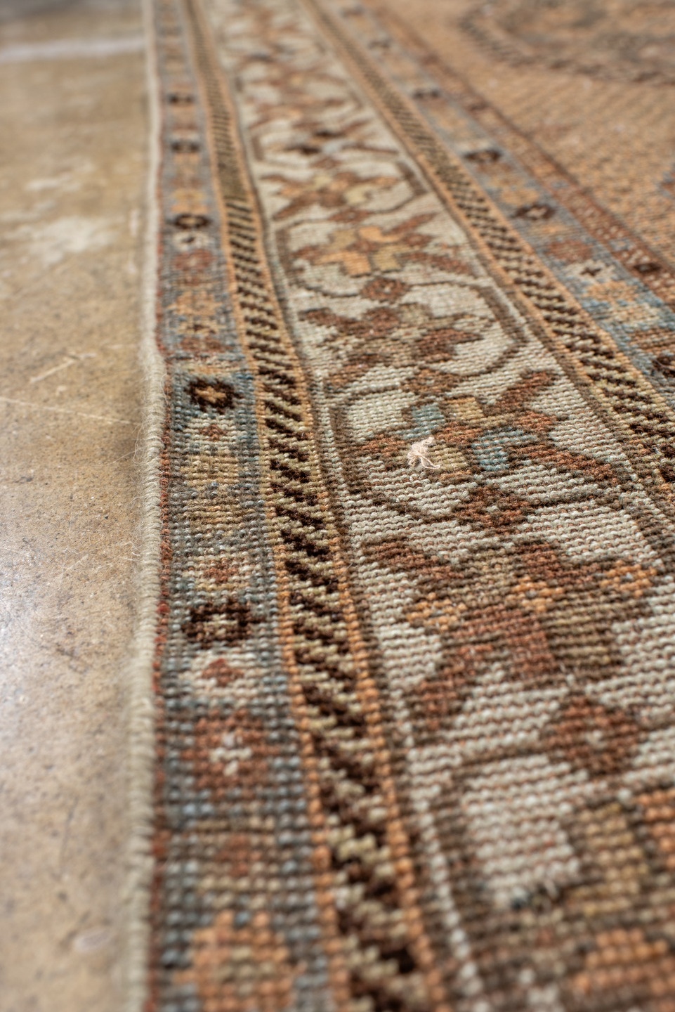 shiraz Runner - # 127981