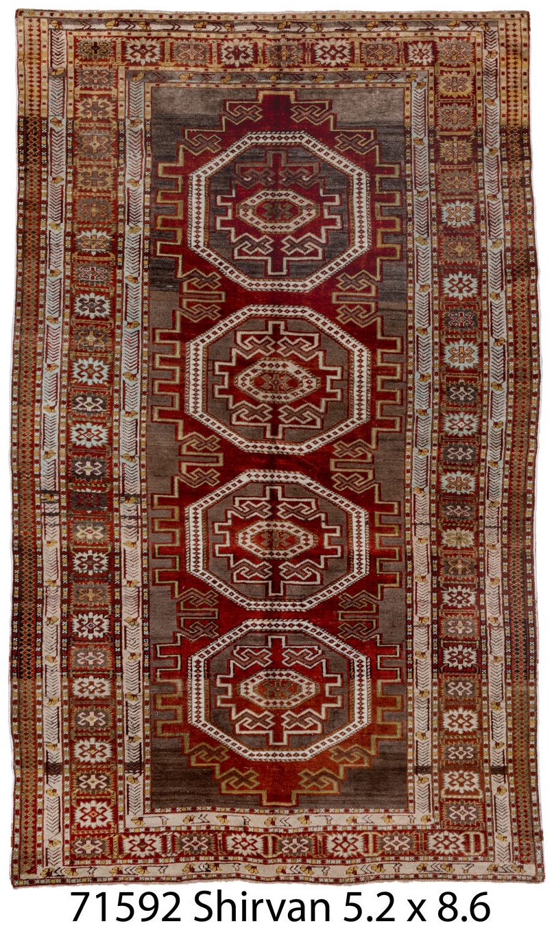 shirvan Rug - # 127704